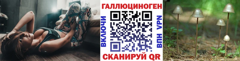 Галлюциногенные грибы мицелий  наркотики  Куровское 